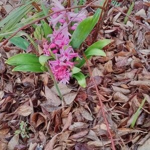 Meet your Posher, Eileen